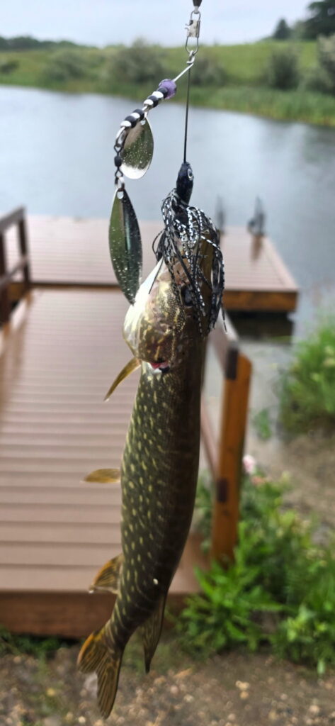 Fishing lure and tackle from Blue Collar Lures And Tackle